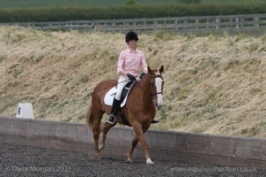 ISIS Dressage Challenge 2008